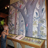 IMG_1823.JPG
