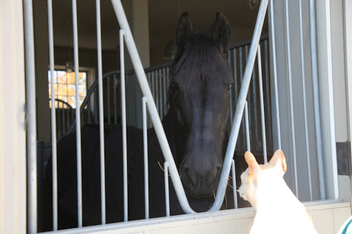 Why yes, Sharkey.  How very nice to see you!