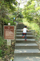 IMG_5520.JPG