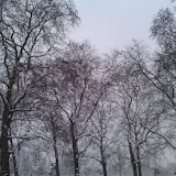 DSC00355.JPG