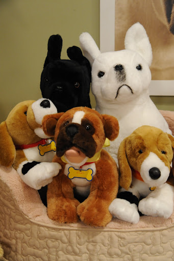 These stuffed dogs from Build-a-Bear and this puppy bed from Pet Smart  decorated the set at the Martha Show.