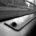 R0028173.JPG