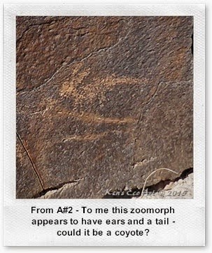 A#2-P1100051_ZM-06 A#2-P1100051_ZM-06