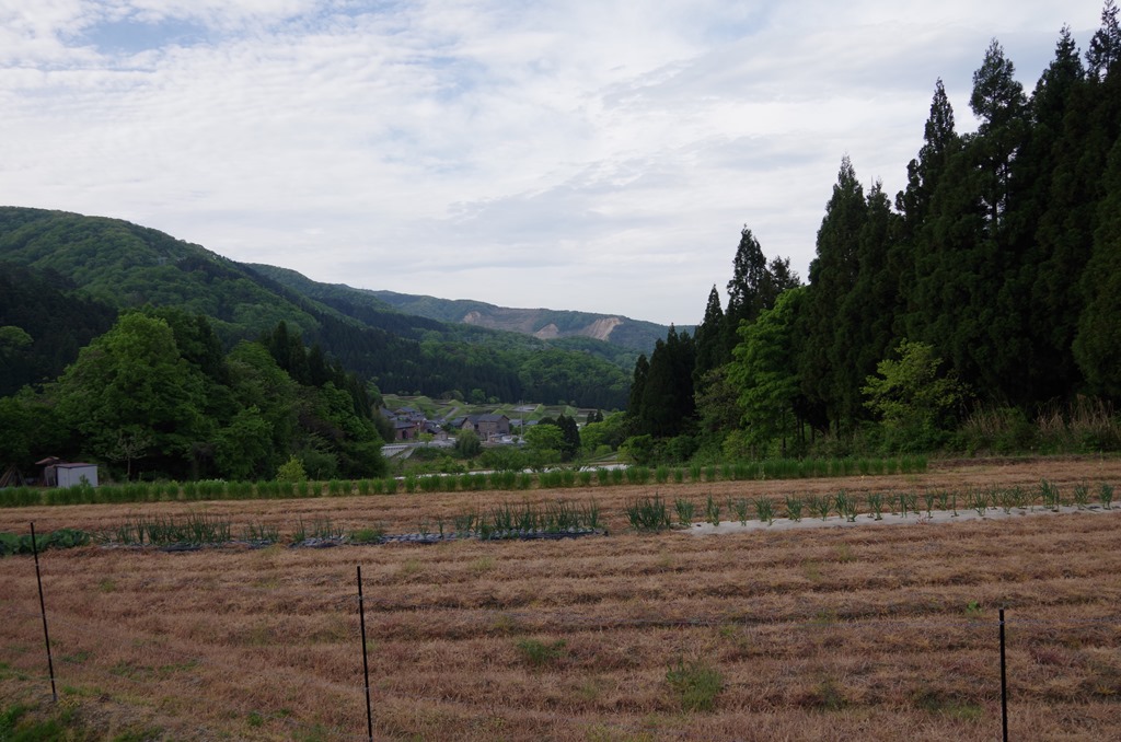 [IMGP05243.jpg]