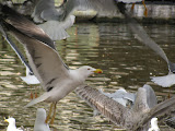 IMG_0685.jpg
