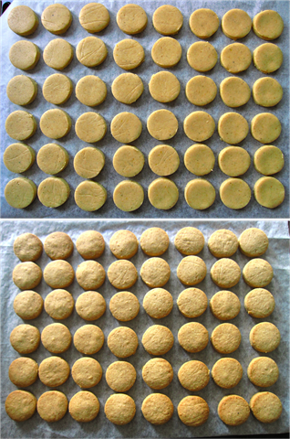 [polvorones%25203%255B3%255D.png]