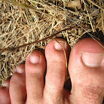 IMG_1724.JPG