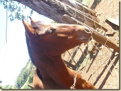 IMG_0325 IMG_0325