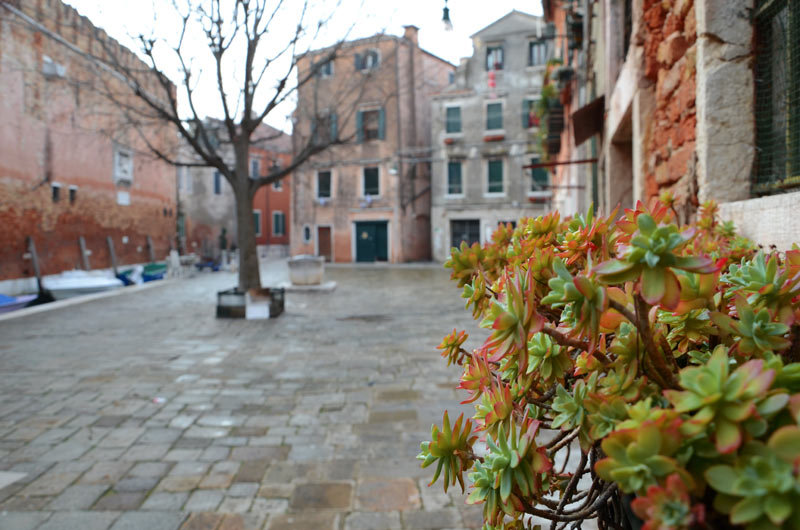 DSC_0170_1.jpg DSC 0170 1