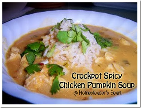 Chicken Pumpkin Soup