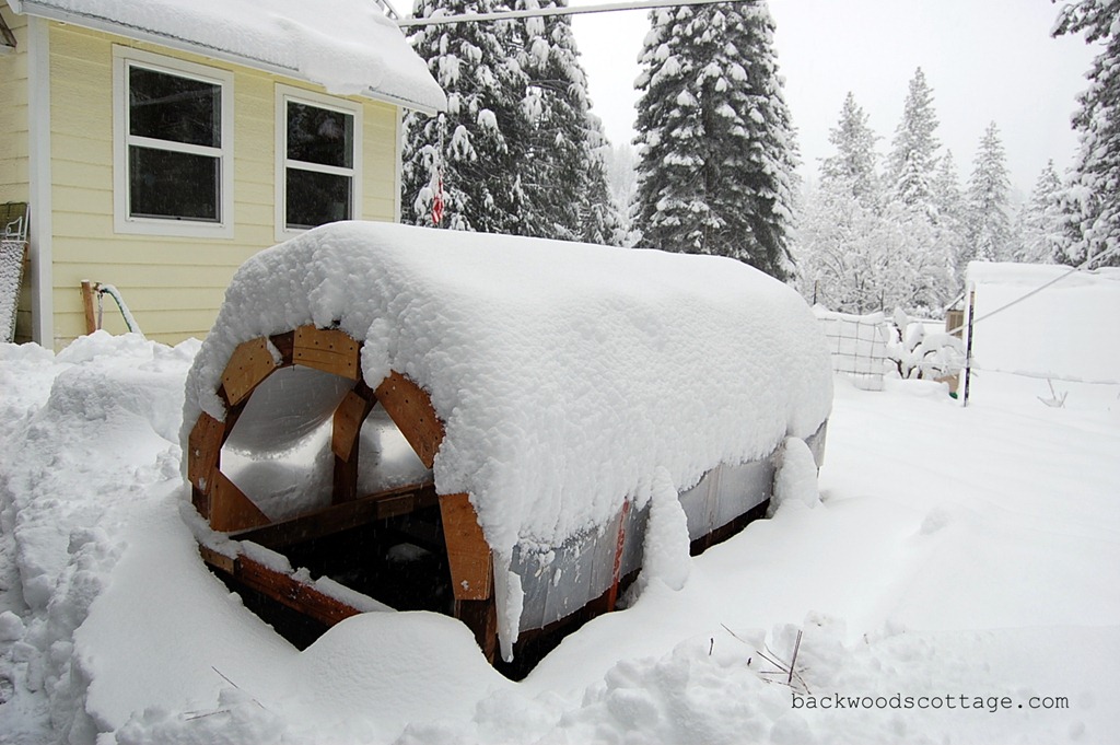 [snowySunday6%255B4%255D.jpg]