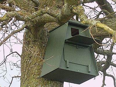 A nice home for a Barn Owl family hopefully.