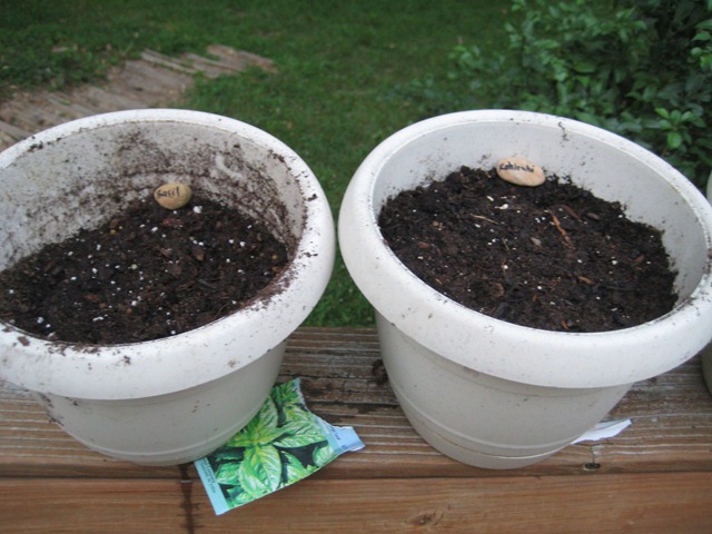[IMG_6289%255B2%255D.jpg]