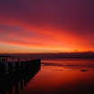 DSCN7727.jpg