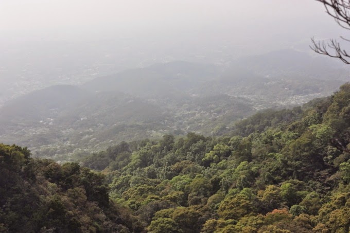 2014_0420_144407 2014_0420_144407