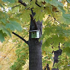 DSC_0793.JPG