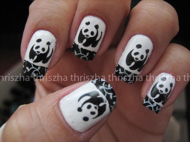 [panda-bear1%255B4%255D.jpg]