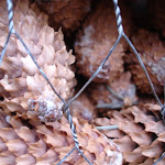Insektenhotel Material 3.JPG