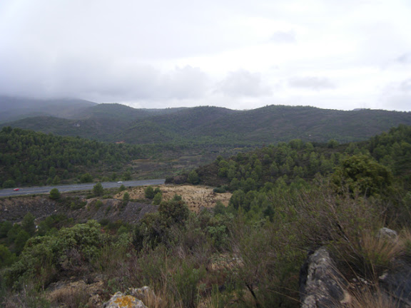 2011_11042250.jpg