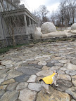 Early Signs of Spring