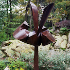Steel'Coty7 copy.jpg