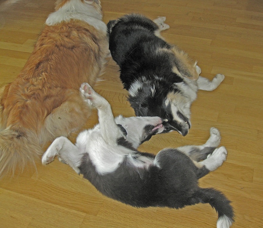 [Glenna%2520igjen_140711_0525%255B4%255D.jpg]