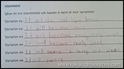 The Great Plant Experiment - Let students build experiments using the needs of a plant (air, soil, light, water) as the variables in a student designed experiment using the Scientific Method - Raki's Rad Resources - Writing Hypotheses The Great Plant Experiment - Let students build experiments using the needs of a plant (air, soil, light, water) as the variables in a student designed experiment using the Scientific Method - Raki's Rad Resources - Writing Hypotheses