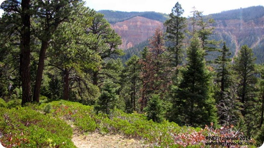 IMG_8055TrailView IMG_8055TrailView