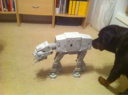 [viral-picdump-pics-38%255B2%255D.jpg]