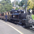 MPTtrain.jpg MPTtrain.jpg