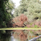 DSCN2981.JPG