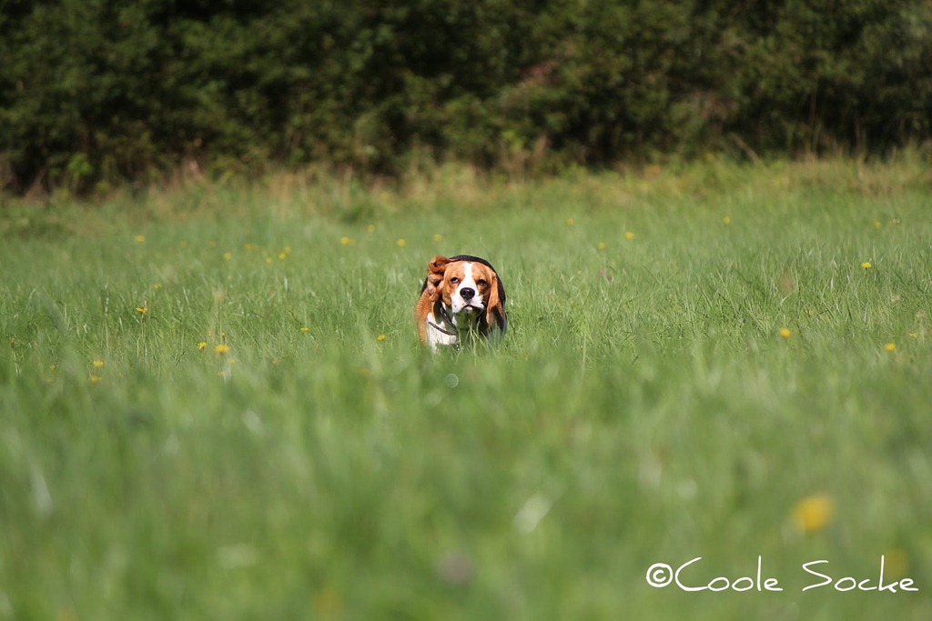 [IMG_4391%255B2%255D.jpg]