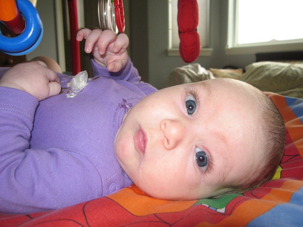 [IMG_1704%255B4%255D.jpg]