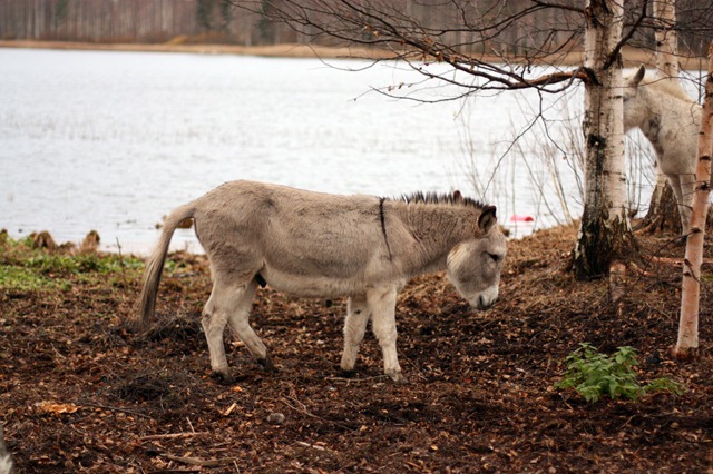 IMG_4297 IMG_4297