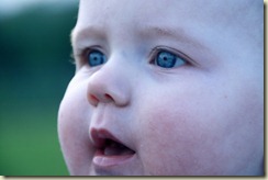 IMG_1935 IMG_1935