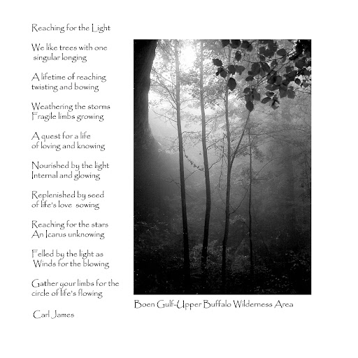 Picture and poem by Carl James.