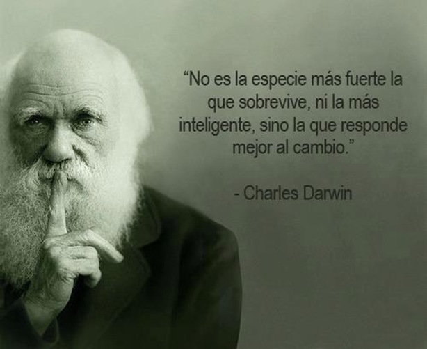 Darwin (1)