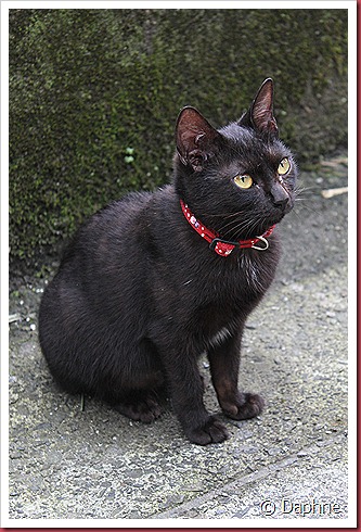 IMG_6180 IMG_6180