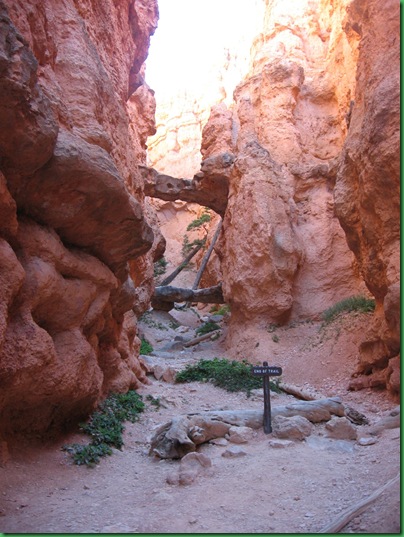Navajo & Queens Garden trails 124