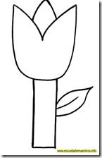 tulipan-01