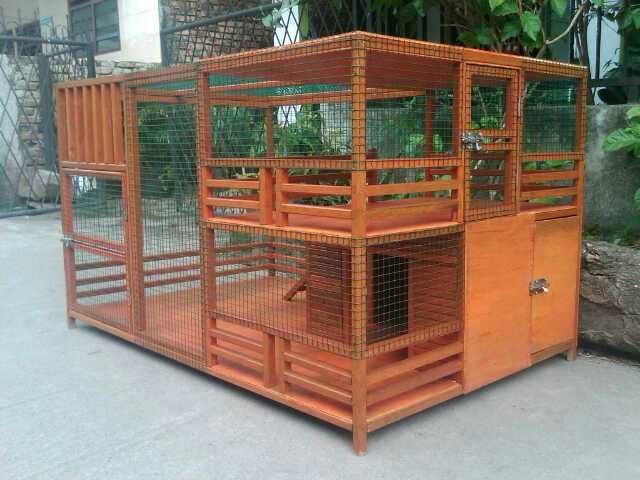 Wow Kandang Anjing Super Mewah Luar Biasa Vebma Com Desain