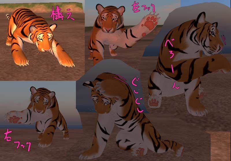 [tiger5%255B3%255D.jpg]