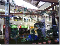 Arvorismo no Shopping