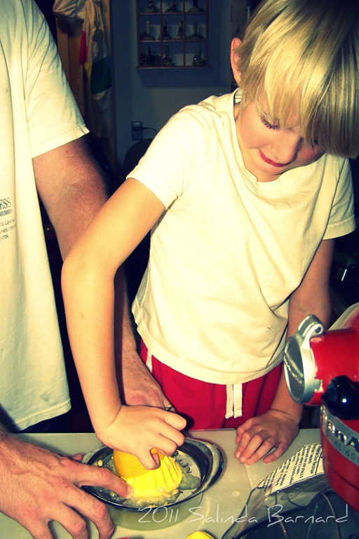 [Making%2520Lemonade%25201%255B4%255D.jpg]