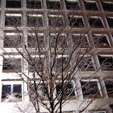 DSC_1193.JPG