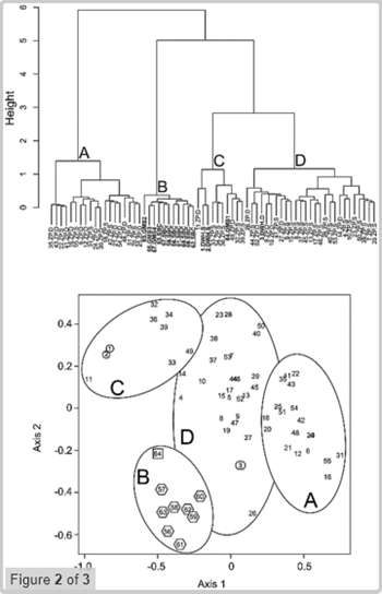 Mesozooplankton (>200 &mu;m) collected in August and September of 2010 from the northern Gulf of Mexico show evidence of exposure to polycyclic aromatic hydrocarbons (PAHs). Multivariate statistical analysis revealed that distributions of PAHs extracted from mesozooplankton were related to the oil released from the ruptured British Petroleum Macondo-1 (M-1) well associated with the R/V Deepwater Horizon blowout. Mitra, et al., 2012