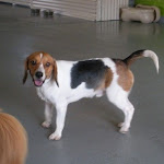 DSCN2528.jpg