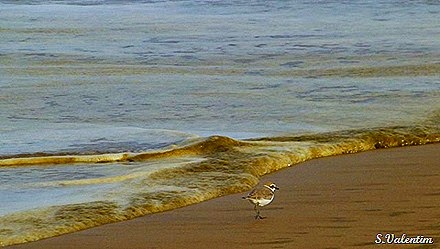 [P1140343%255B10%255D.jpg]