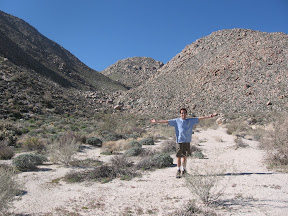 Beautiful Desert morning