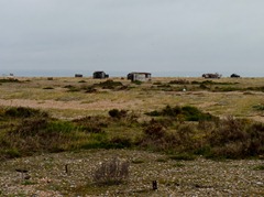 dungeness sept 2011 024 dungeness sept 2011 024